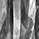 màu đen