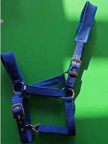 Wear-Resistant Webbing Horse Bridle, Bridle, Equestrian Bridle, Horse Stable Equipment, Horse Walking Leash, Webbing Bridle - Multicolor - View 14