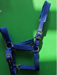 Wear-Resistant Webbing Horse Bridle, Bridle, Equestrian Bridle, Horse Stable Equipment, Horse Walking Leash, Webbing Bridle - Multicolor - View 11