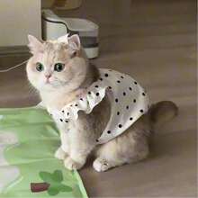 1件/宠物猫波点公主风裙子，适合夏季，采用轻薄面料制成，适合蓝色猫咪、金色狗狗和小型犬。 - 白色 - 查看 10