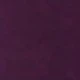 Bold Plum