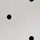 trắng