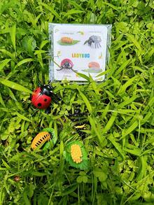 MINKOJA MINKOJA Children's Life Cycle Learning Toys, Butterfly Frog Bee Chicken Plant Growth Stage Simulation Model, Lifelike Figurines And Learning Cards, Entomology, Botany, Zoology Toy Sets, Monarch Butterfly Caterpillar Sets, Early Education Cognitive Toys. - Life Cycle - View 3