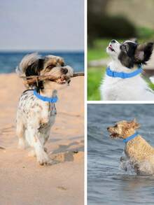 PVC Waterproof Odor Proof Rust Proof Dog Collar With Adjustable Buckle Easy Clean Pet Necklace For Small Medium Large Breed Dogs Daily Walking Training Shine Pet Accessory Canine Gear - Blue - View 2