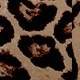 Nhiều màu