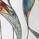 Multicolor