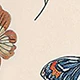 Nhiều màu