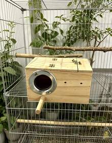 1 Piece Warm Breeding Box For Budgerigars, Wooden Bird Nest Box, Bird Cage Accessories And Supplies, Hanging Bird Nest, Incubation Box - brown - View 7
