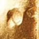 Leopard Ornament - Gold - Right