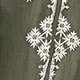 軍綠色