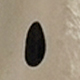 Nhiều màu