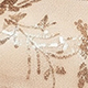 Màu Khaki