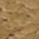 Màu Khaki