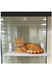 Foldable Cat Window Perch, Wireless Cat Hammock, Sturdy Resting Seat, Upgraded Suction Cups, Easy Assembly, Indoor Cat Bed, Breathable & Soft, Suitable For All Seasons, Great Gift - multicolor - View 4