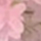 多色