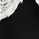 Blanco y Negro