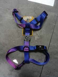 1pc Gradient Color Dog Harness, Small Dog Leash, Comfortable And Adjustable, Suitable For Outdoor Walks And Training For Small Dogs. - Multicolor - View 14