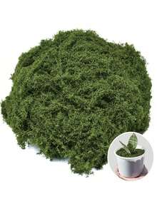 SHEIN Pacote com 80g/300g de musgo artificial, ideal para decoração de casa, criação de micropaisagens com musgo simulado, gramados e vasos de plantas. - Multicolorido - Ver 11