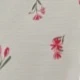 Watermelon Pink