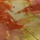 Multicolor