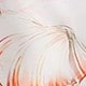 彩色