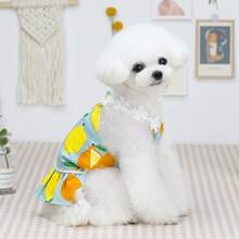 PETSIN Quần áo cho chó, quần áo cho mèo, váy cho thú cưng, bộ sưu tập xuân/hè mới, váy cho cún con, váy công chúa đa năng, họa tiết kẻ sọc, quần áo cho động vật nhỏ, kem chống nắng mát mẻ - Nhiều màu - Xem 10