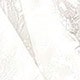 trắng