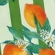 Nhiều màu