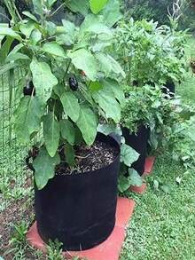 2/4/5入 黑色耐用不織布種植袋 350Gsm 加厚透氣 雙把手 排水孔 重型大容量 可重複使用 馬鈴薯番茄辣椒花卉種植盆 室內外露台花園 春夏園藝 園丁禮物 喬遷必備 - 黑色 - 查看 4