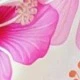 Hồng
