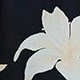 彩色