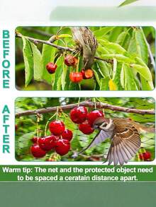 1pc Black Anti-Bird Net, Size: 2m*10m/6.56ft*32.8ft, Mesh Size: About 1.8cm/0.71in, Square Mesh Garden Bird Netting, Plant Fruit Tree Vegetable Protection Mesh, Suitable For Trees And Plants Against Birds, Deers, Squirrels, Etc. - Black - View 6