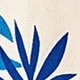 彩色