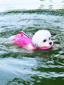 PETSIN Ropa de baño de verano ligera y fina con estampado minimalista de huella de pata de cachorro, estilo deportivo. Puede usarse para caminar al aire libre, correa, chaleco salvavidas para mascotas y traje de baño para perros grandes en Europa y América. - Multicolor - Ver 11