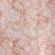 Coral Pink