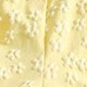 Yellow Citron