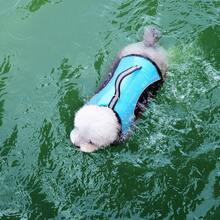 PETSIN 大型犬服装 大型犬救生衣 简约小狗爪印图案 运动风 轻薄夏季沙滩泳装 防护服 欧美地区 可用于户外散步、牵引、宠物救生衣和泳衣 - 彩色 - 查看 8