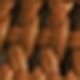 Màu Khaki