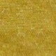 Mustard Yellow