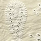 Albaricoque
