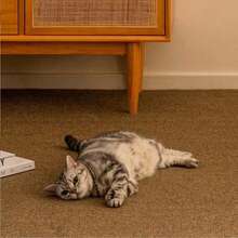 1 pièce Tapis à gratter extra large pour chat, tapis de sommeil en tapis, résistant aux griffures et anti-peluches pour protéger le canapé - Multicolore - Voir 5