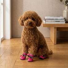 PETSIN 四件套防水防滑宠物狗鞋，吉娃娃小型犬和幼犬雨靴 - 彩色 - 查看 6