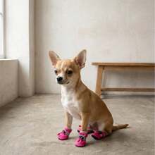 PETSIN 四件套防水防滑宠物狗鞋，吉娃娃小型犬和幼犬雨靴 - 彩色 - 查看 7