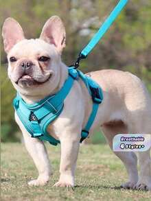 Reflective Pet Harness And Leash Set For Dog & Cat, Escape Proof Adjustable Small Dog Harness With Soft Mesh - Green - View 1