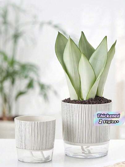 1 Chậu trồng cây bằng nhựa họa tiết sọc ngựa vằn đen trắng, đáy trong suốt, thiết kế sáng tạo và đơn giản, có dây tưới tự động và lòng chậu dày dặn, thích hợp để trồng cây cảnh trong nhà.