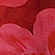 Nhiều màu