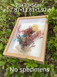 1个镂空干花装饰相框，DIY手工展示架，3D相框，适合节日和周年纪念日 - 彩色 - 查看 8