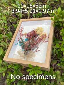 1个镂空干花装饰相框，DIY手工展示架，3D相框，适合节日和周年纪念日 - 彩色 - 查看 7