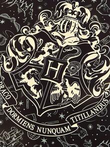 HARRY POTTER X SHEIN 行李整理包 - 黑色 - 查看 3