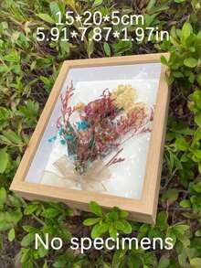 1个镂空干花装饰相框，DIY手工展示架，3D相框，适合节日和周年纪念日 - 彩色 - 查看 5